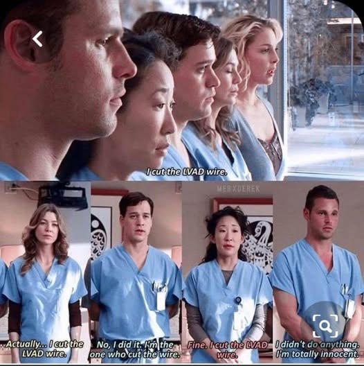 Alex said nope not me!!!!🤣🤣🤣🤣