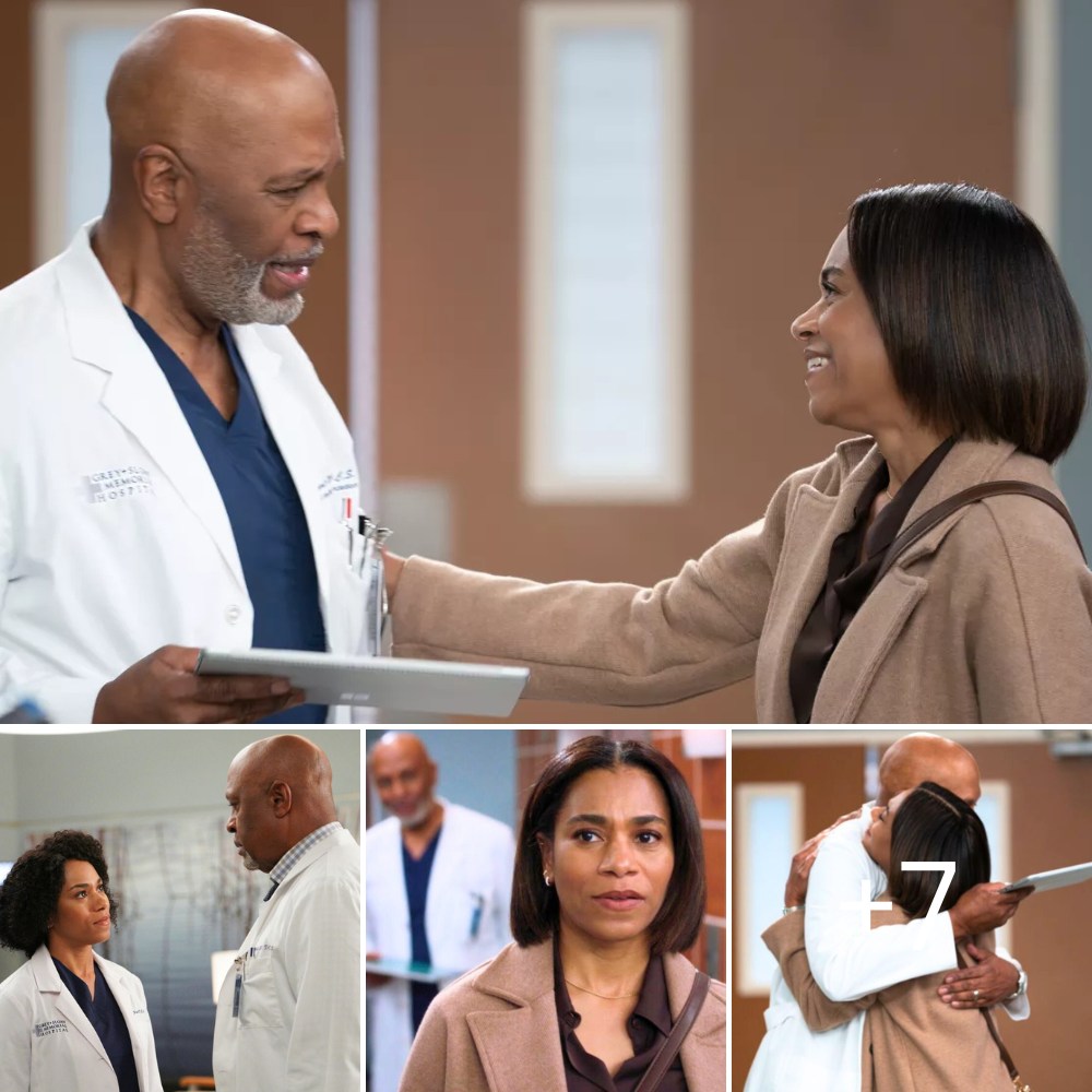 Grey’s Anatomy Recap: Maggie Returns With Shocking News — Plus, Where Is [Spoiler] Going?