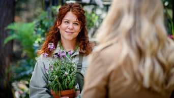 Sturm der Liebe: Alle News über die neuen Folgen der Telenovela im Ersten – RUHR24